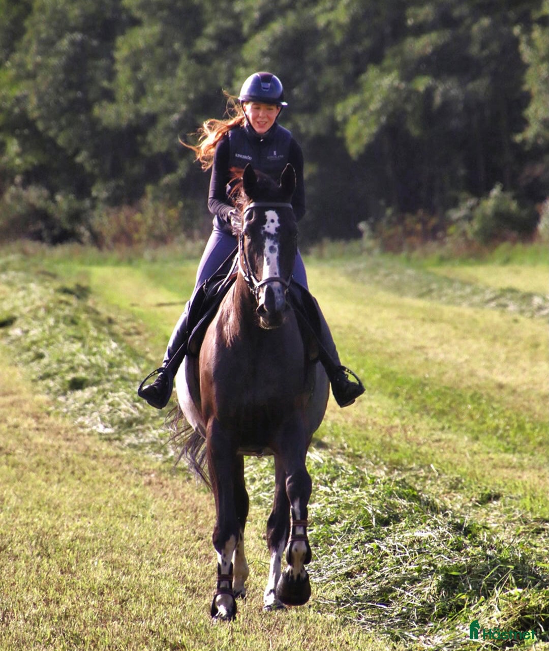  medryttarhäst finnes: Medryttare sökes till Helge 1–2 gånger i veckan i Hanaskog - Annons 1