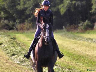 medryttarhäst finnes: Medryttare sökes till Helge 1–2 gånger i veckan i Hanaskog - Annons 1