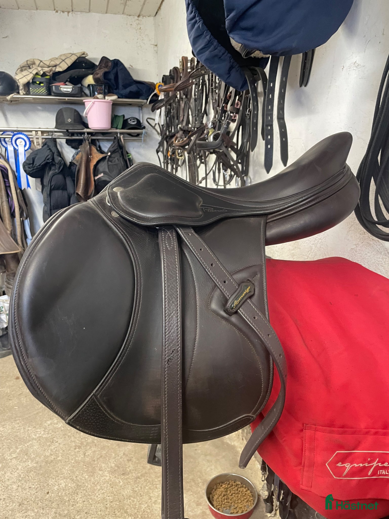 Sadlar hästutrustning Fin Amerigo sadel - Annons 7