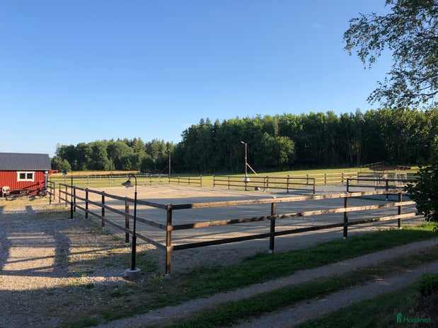 stallplats i Enköping - Annons 13