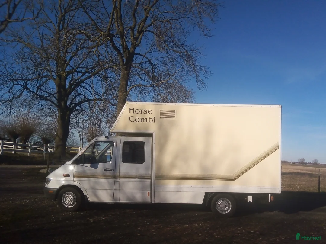 Hästlastbilar  fordon & transport till salu: MB 316cdi hästlastbil - Annons 2