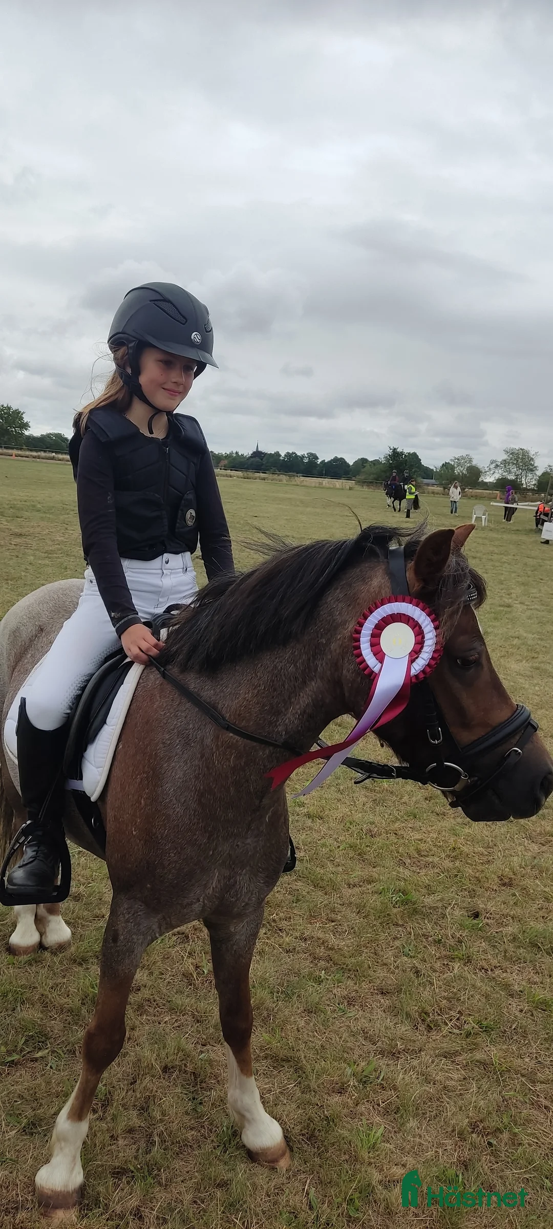 Allround hästar till salu: Tävlingsponny i startgropen i Gärsnäs - Annons 5