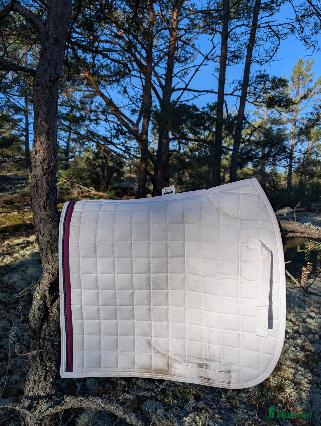 Jackor & Kavajer ryttarutrustning till salu: Kavaj & blus från Horseware & matchande schabrak  i Stenhamra - Annons 2