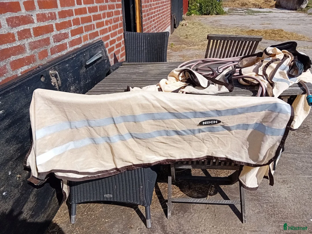 Täcken hästutrustning till salu: Flug ridtäcke - Annons 1