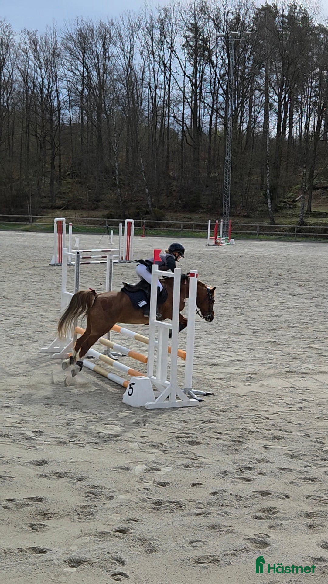  hästar Rallyräka  - Annons 2