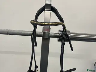 Träns hästutrustning 2 träns och en martingall till salu i Fagerfjäll - Annons 1