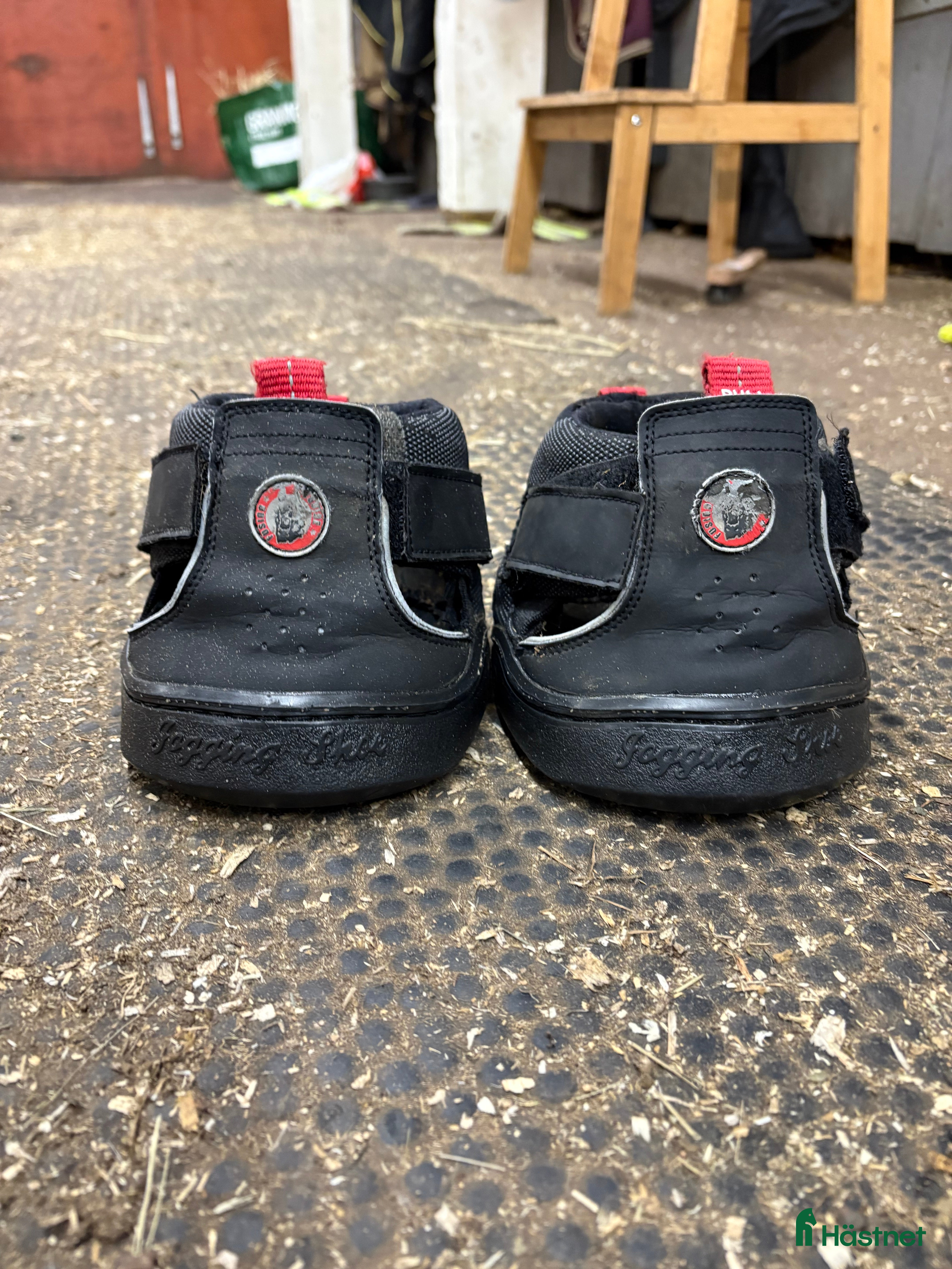 Övrig Hästutrustning hästutrustning Equine fusion trekking - Annons 1