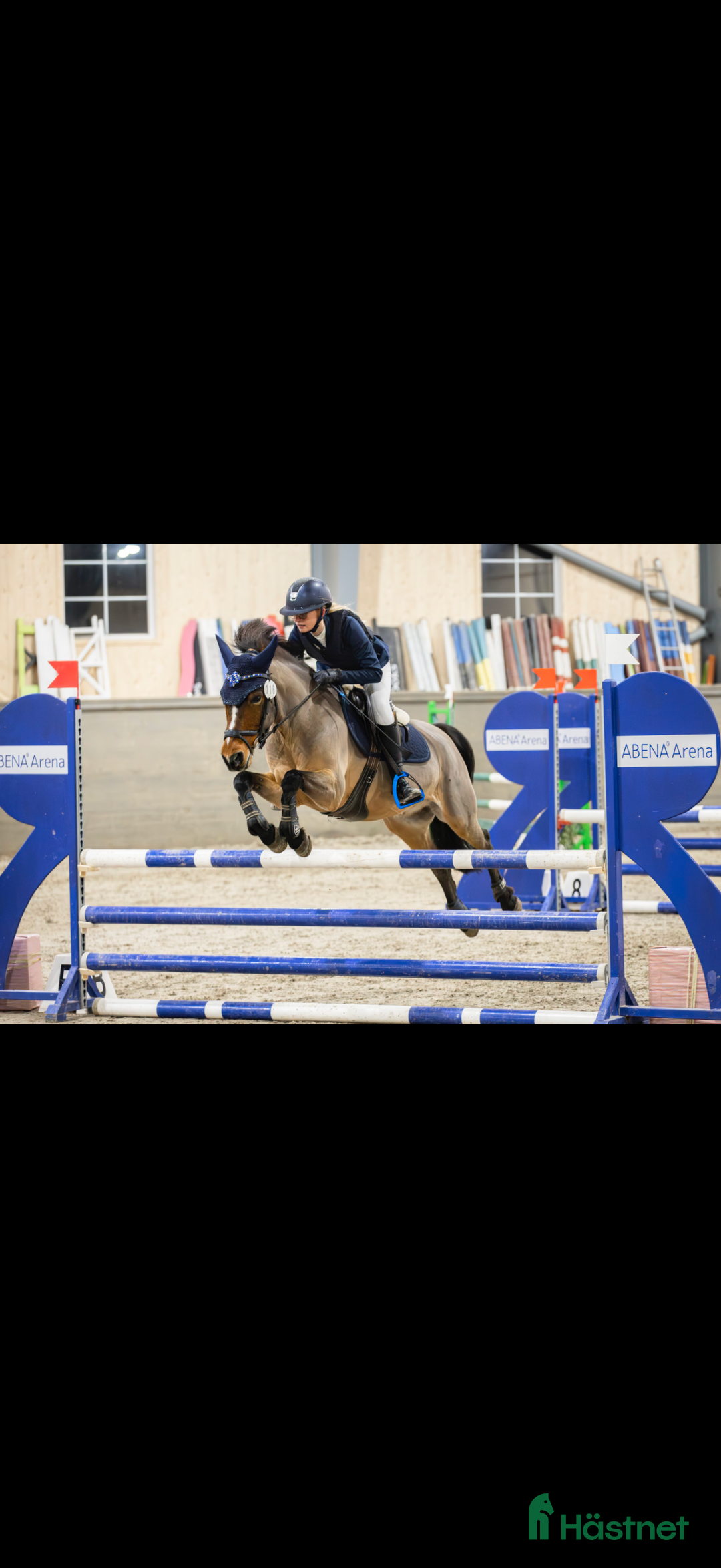 Allround hästar till salu: Fin allroundponny i Rydaholm - Annons 4