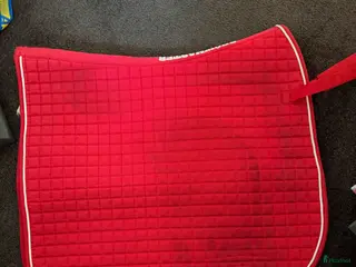 Schabrak & Vojlockar hästutrustning till salu: Schabrak från showmaster - Annons 2