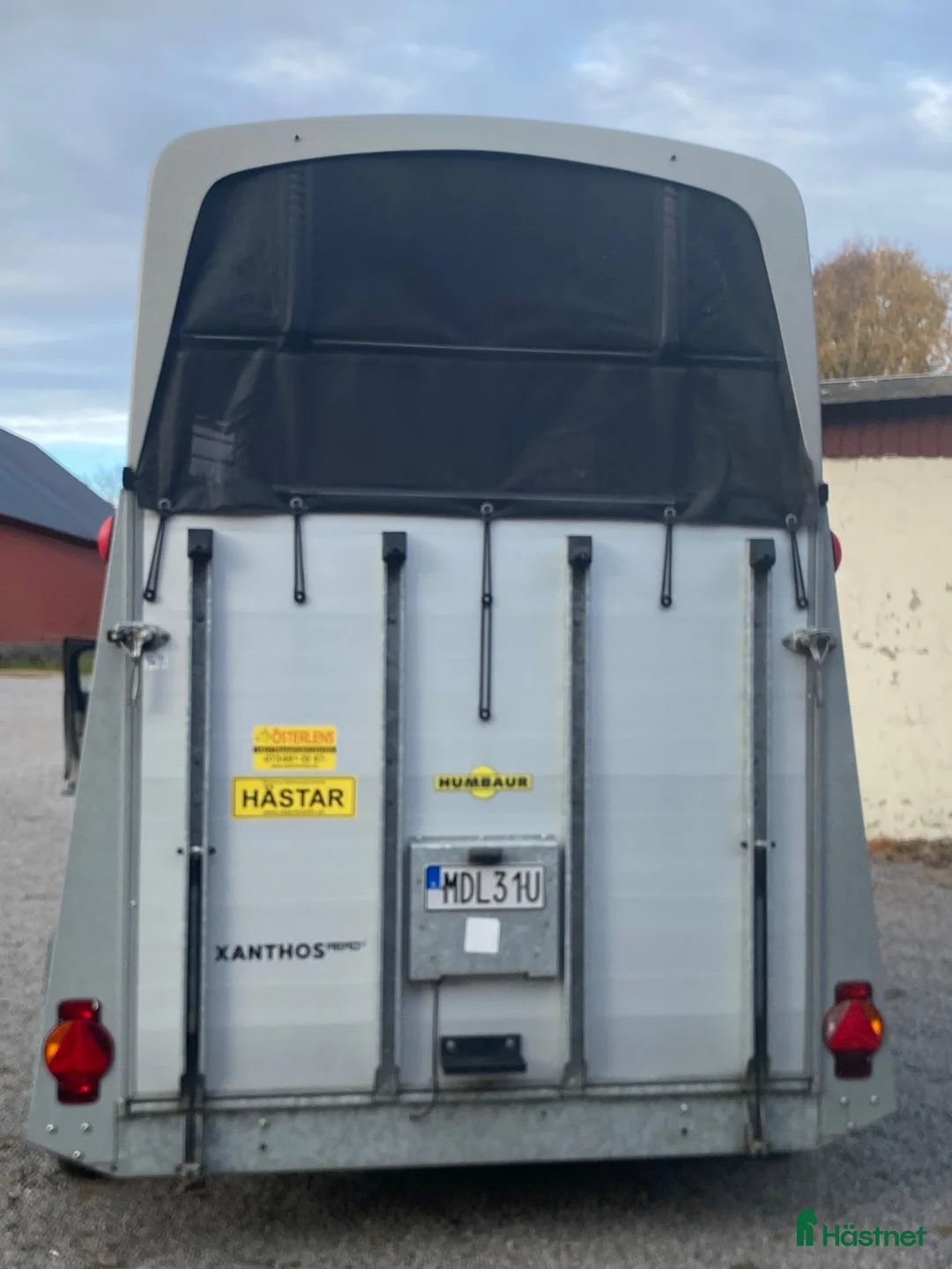 Hästtransporter  fordon & transport till salu: Fantastisk transport -Hambaur - Annons 2