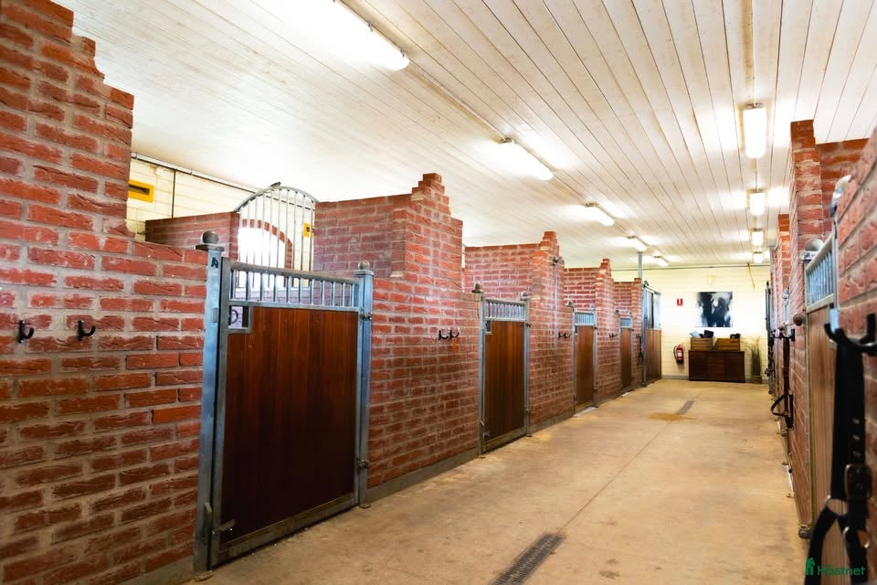  stallplats finnes: Stallplats-fullservice på anläggning med 2 ridhus - Annons 1