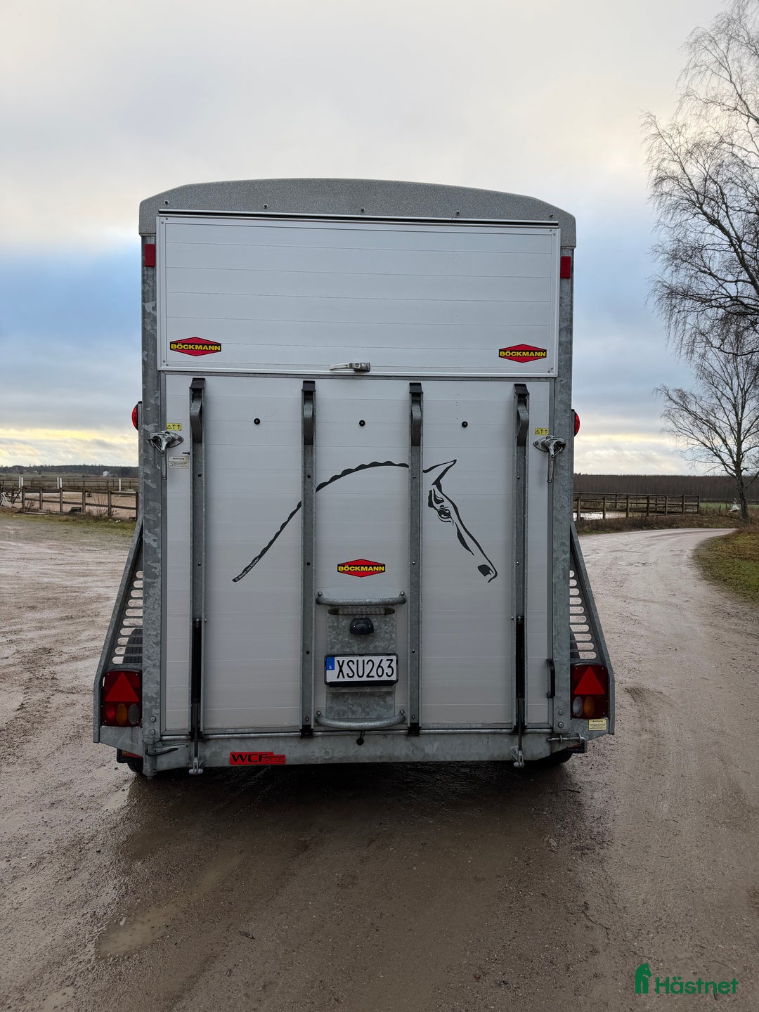 Hästtransporter  fordon & transport till salu: Nyinkommen Böckmann portax -18 hästtransport  i Västerås - Annons 5