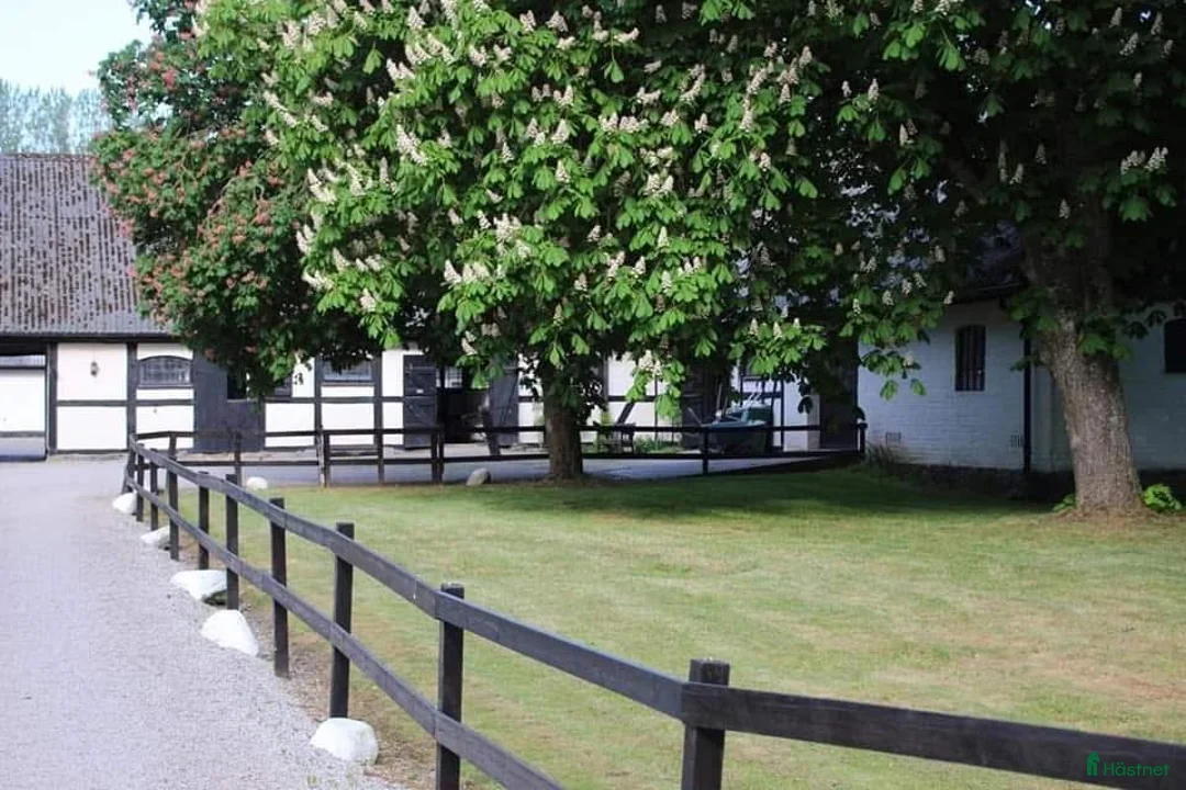  stallplats finnes: Boxplats på vackra Högsmölla, Furulund  i Kävlinge - Annons 4