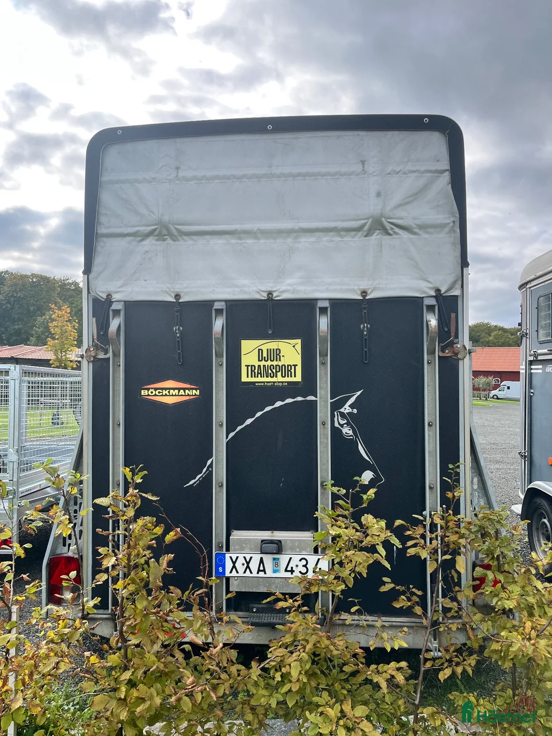 Hästtransporter  fordon & transport till salu: Böckmann Big Master L i Lund - Annons 2