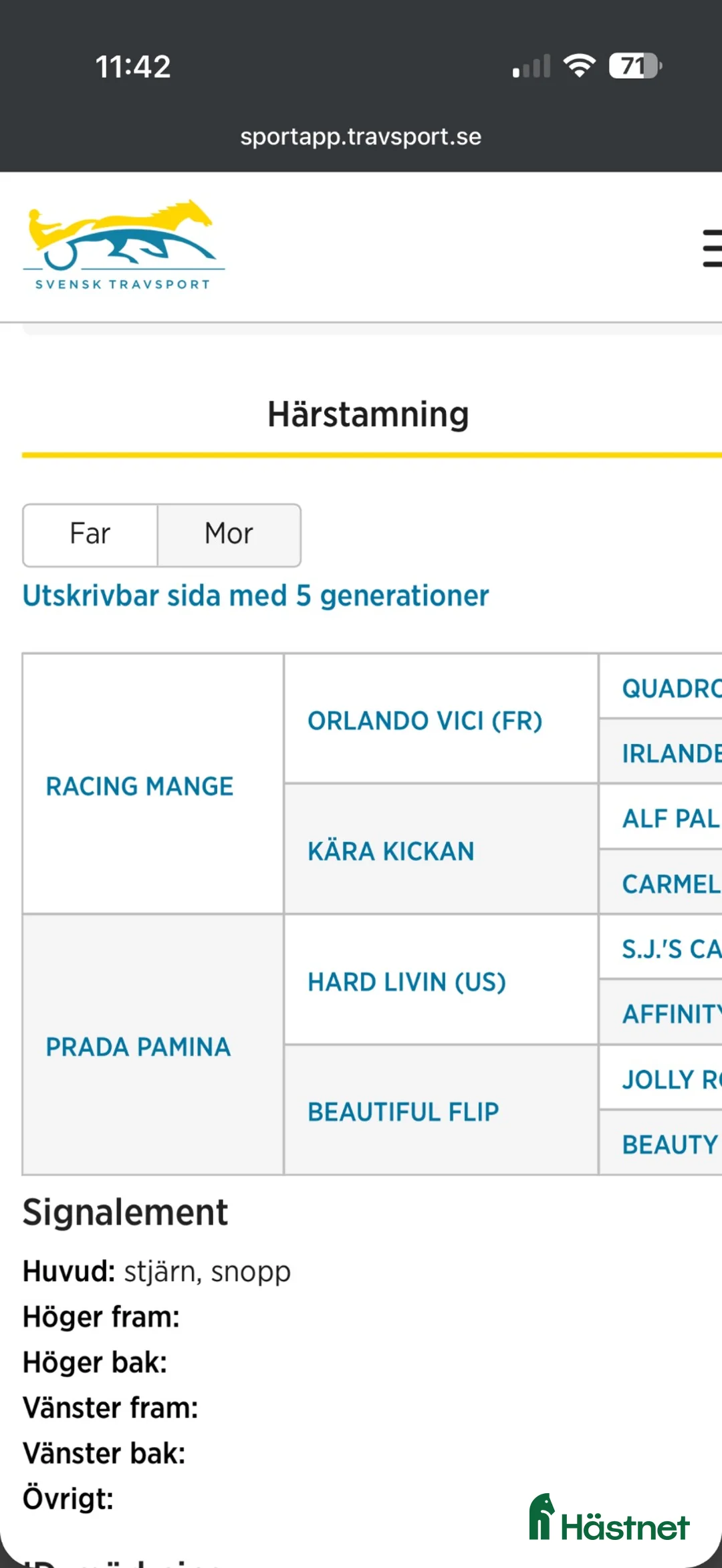 Trav hästar till salu: 2års sto  i Hajom - Annons 2