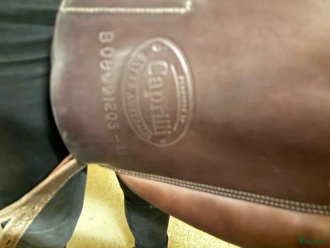 Sadlar hästutrustning till salu: Superskön och passar många hästar  i Vallåkra - Annons 4