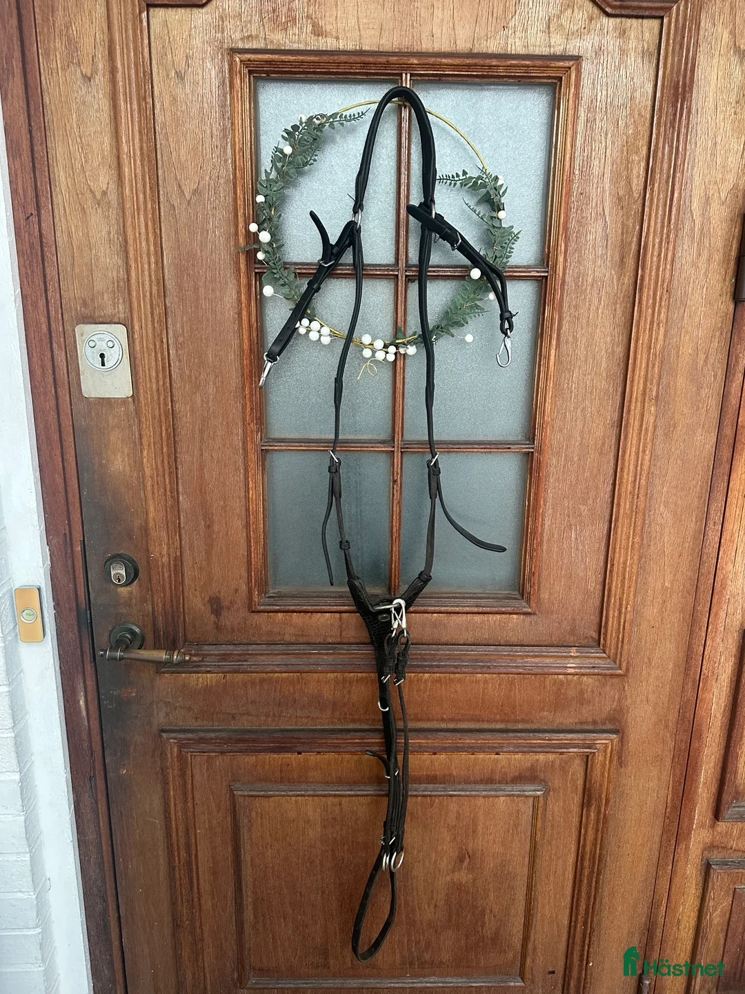 Övrig Hästutrustning hästutrustning till salu: schockemöhle förbygel - Annons 2