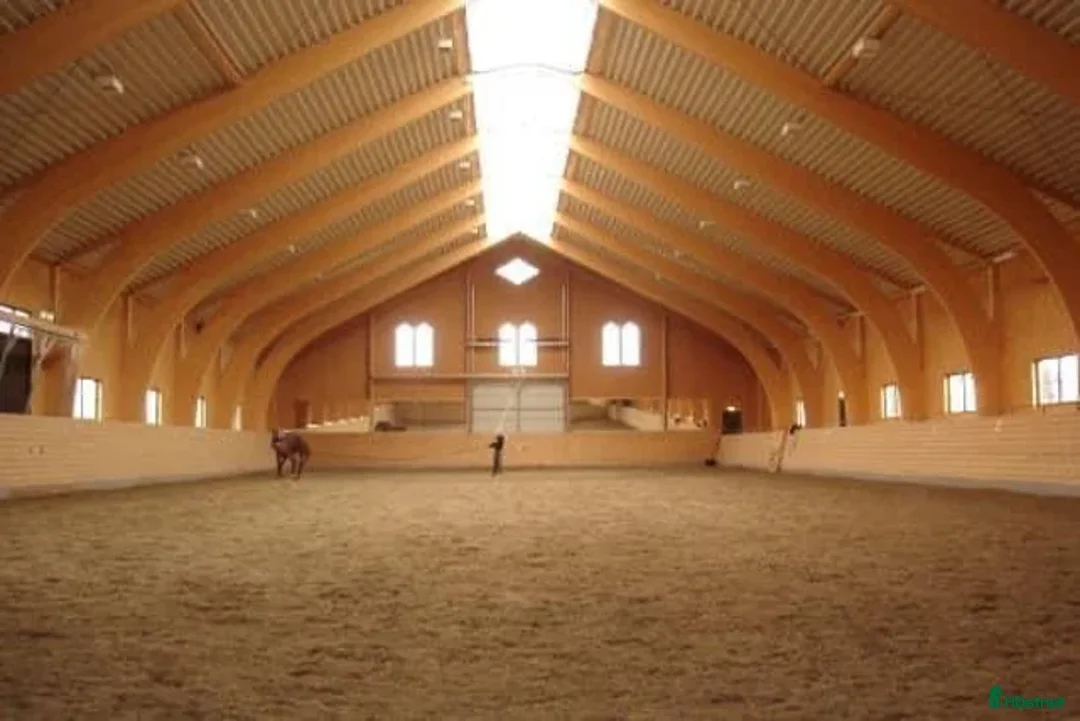  stallplats finnes: inridning, utbildning, försäljning, tävling - Annons 2