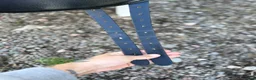 Sadlar hästutrustning till salu: Superfin töltrider - Annons 5