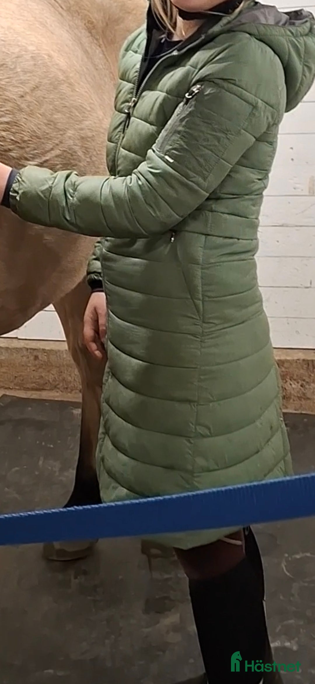 Jackor & Kavajer ryttarutrustning till salu: Oanvänd hööks kappa i Jokkmokk - Annons 3