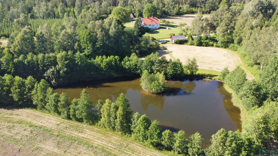  hästgårdar till salu: 68ha Ståtlig skogsgård * VISNING 10 AUG * i Lidhult - Bild 4