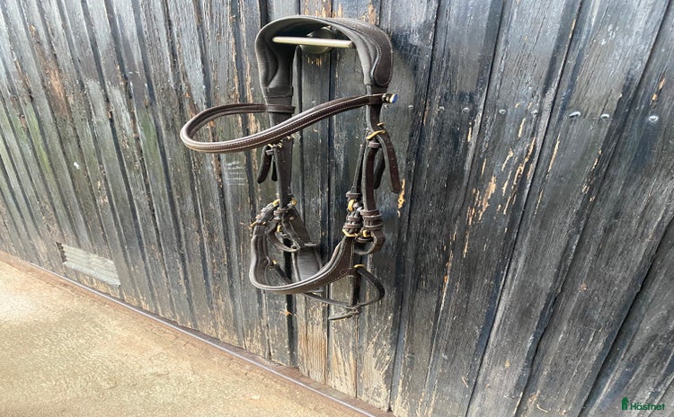 Träns hästutrustning till salu i Linghem - Annons 9