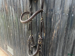 Träns hästutrustning till salu i Linghem - Annons 5