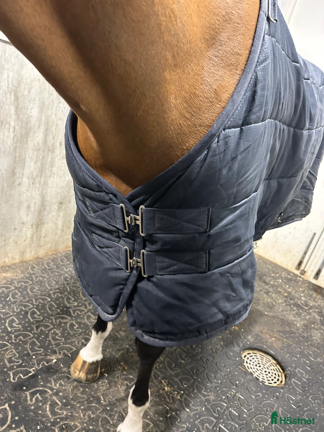 Täcken hästutrustning till salu: Olika täcken  i Norrtälje - Annons 5