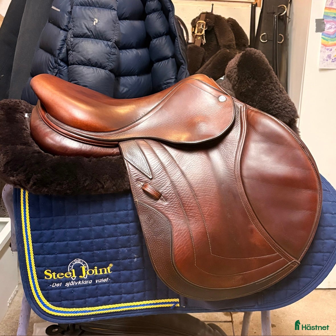 Sadlar hästutrustning CWD SE01 - Annons 12