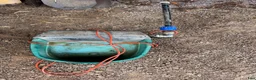 Stallinredning, stängsel & gård övrig utrustning till salu: Elvattenkoppar med mera - Annons 3