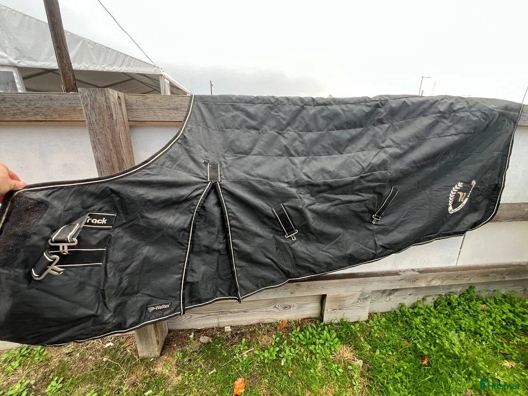 Täcken hästutrustning till salu: Back on track stalltäcke Millie med welltex - Annons 2