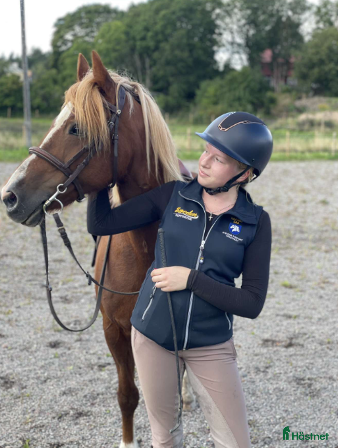 Allround hästar sökes: FÖRMEDLING & TILLRIDNING i Kristdala - Annons 2