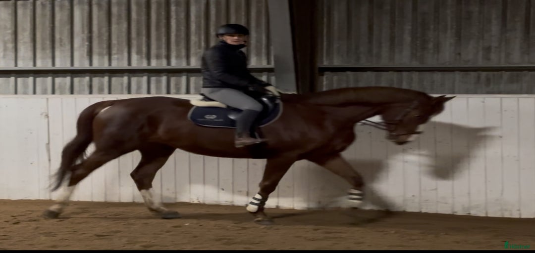 Galleribild {{count}}