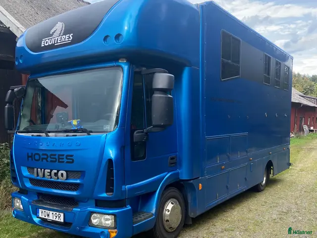 Hästlastbilar fordon & transport till salu: Iveco 7,5 ton C1 körkort - Annons 2