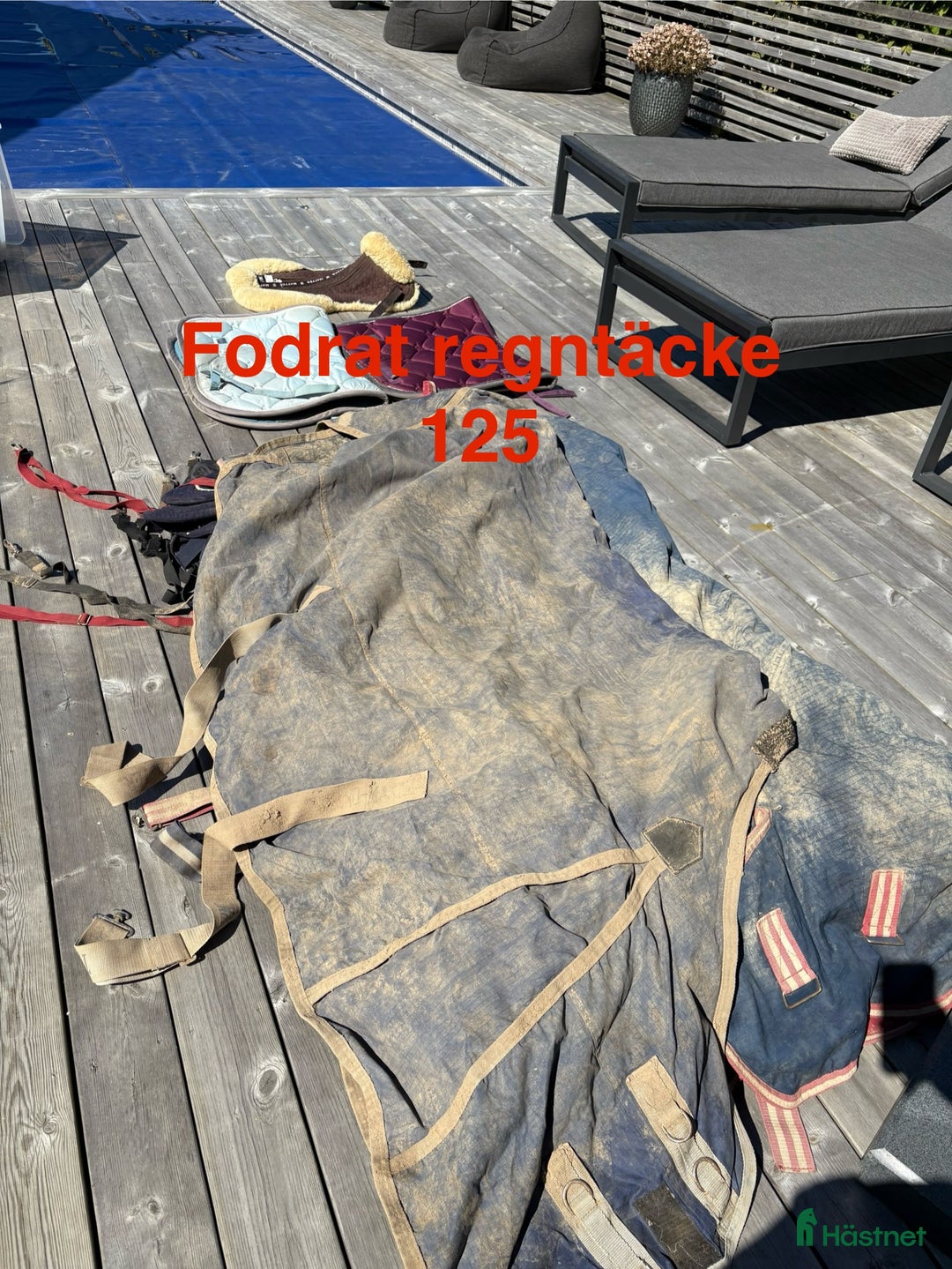 Övrig Hästutrustning hästutrustning till salu: Häst och ponny saker - Annons 4