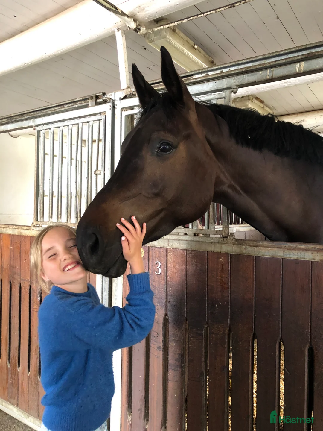  medryttarhäst sökes: Ponny sökes till medryttare/fodervärd  i Strömstad - Annons 6