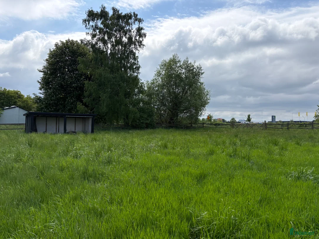  stallplats finnes: Lösdriftsplats vid Vattenriket – självskötsel i Kristianstad - Annons 2