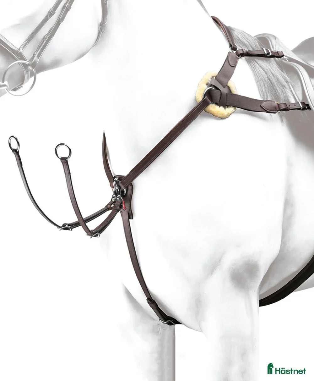 Sadeltillbehör hästutrustning till salu: Equipe förbygel i stl cob i super bra skick i Göteborg - Annons 3