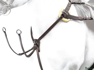Sadeltillbehör hästutrustning till salu: Equipe förbygel i stl cob i super bra skick i Göteborg - Annons 1