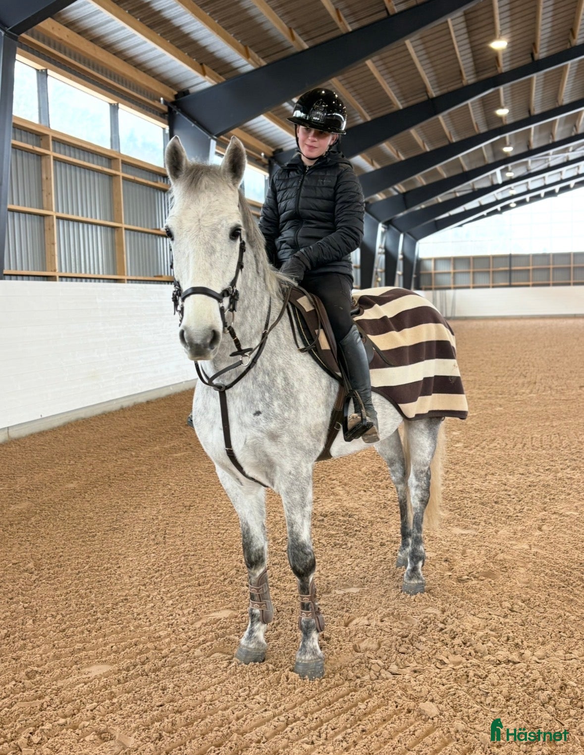  hästar Superponny!! - Annons 18