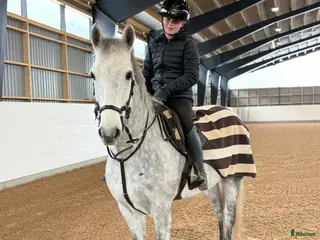 hästar Superponny!! - Annons 18