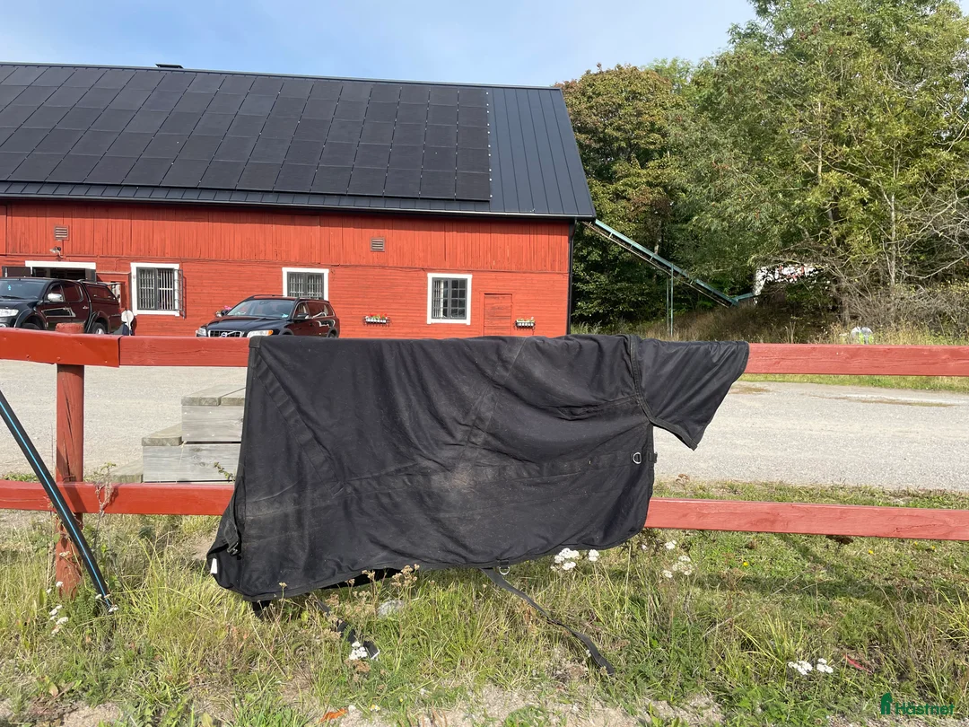 Täcken hästutrustning till salu: Back on Track diamond mesh 125 cm i Kungsängen - Annons 1