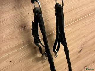 Övrig Hästutrustning hästutrustning Dyon förbygel med martingal - Annons 3