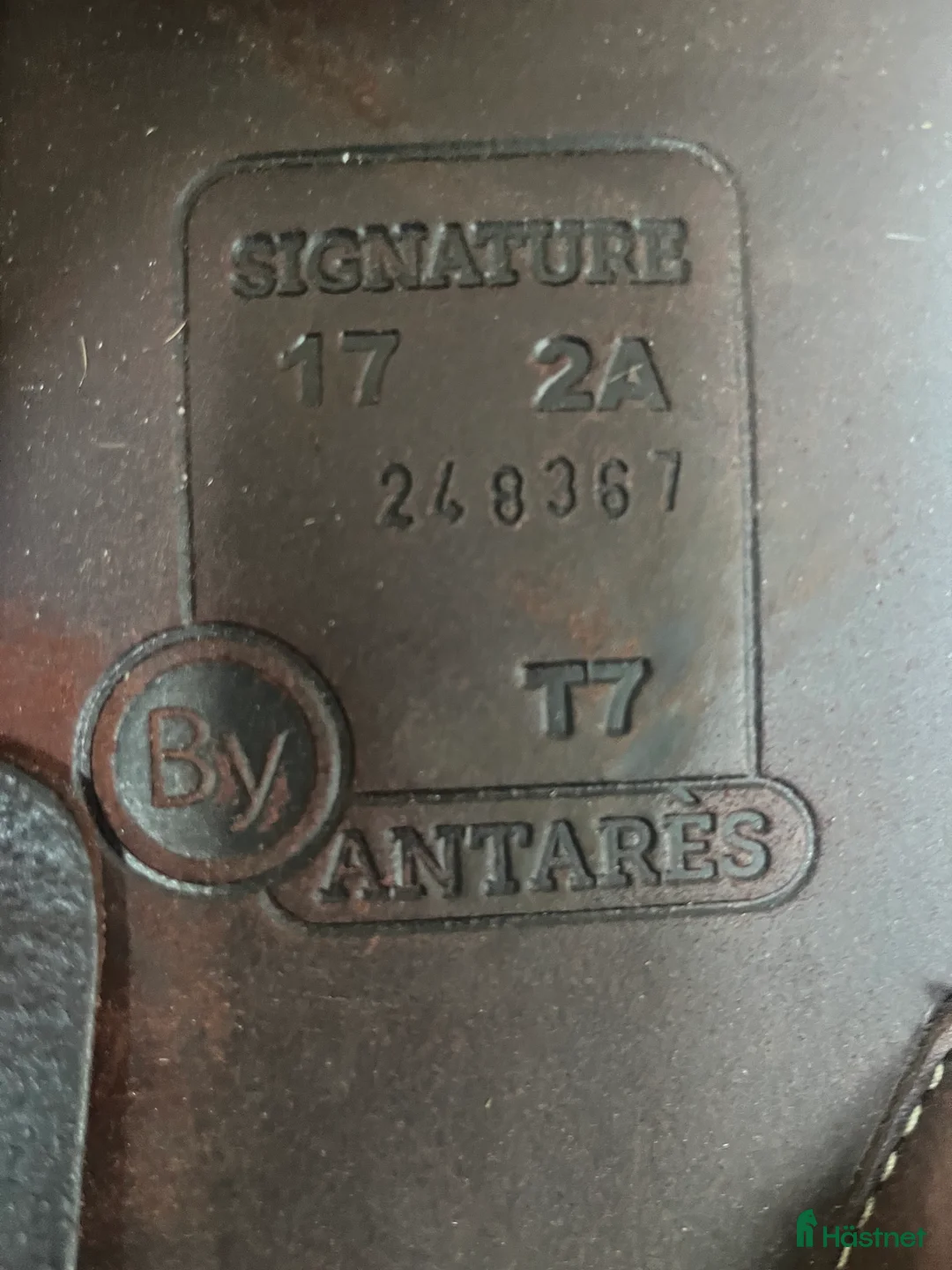 Sadlar hästutrustning till salu: Antares Signature i Ingelstad - Annons 3