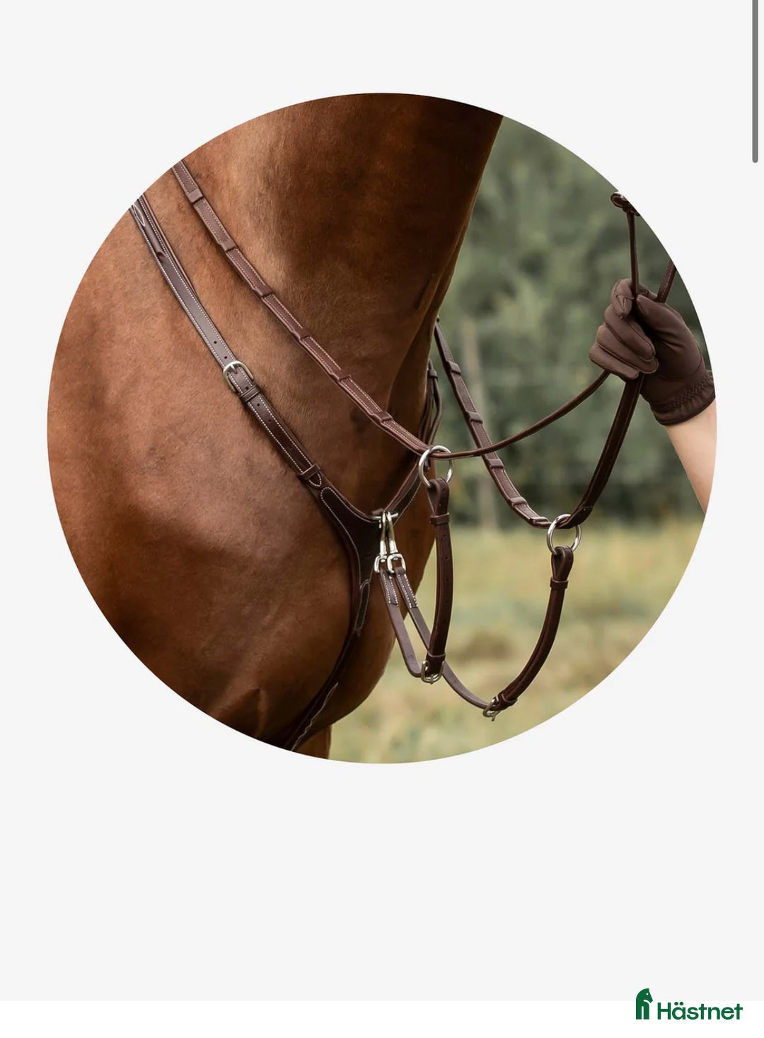 Sadeltillbehör hästutrustning till salu: Martingal m förbygel i Landskrona - Annons 2