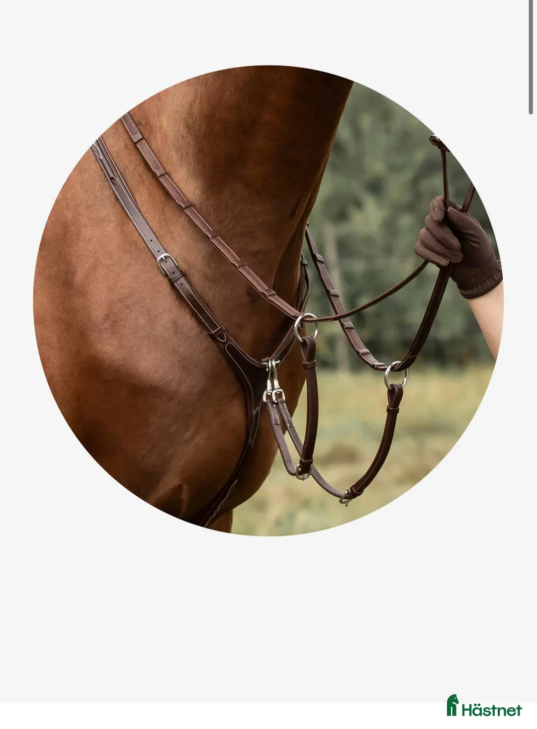 Sadeltillbehör hästutrustning till salu: Martingal m förbygel i Landskrona - Annons 2