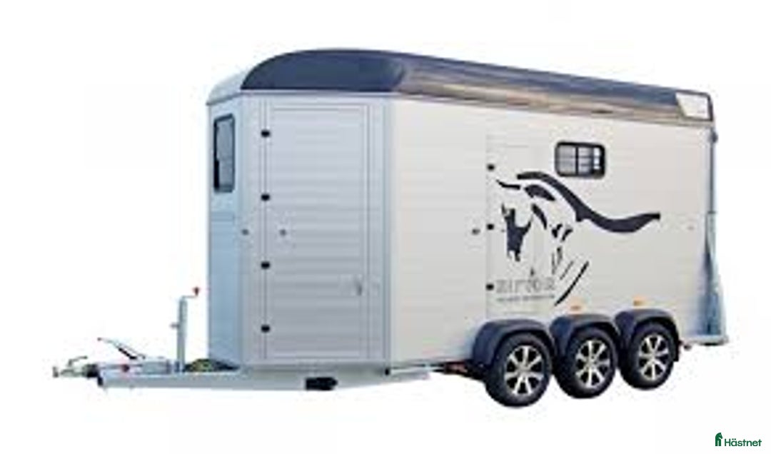 Hästtransporter  fordon & transport till salu: Sirius S90 KÖPES i Skärplinge - Annons 1