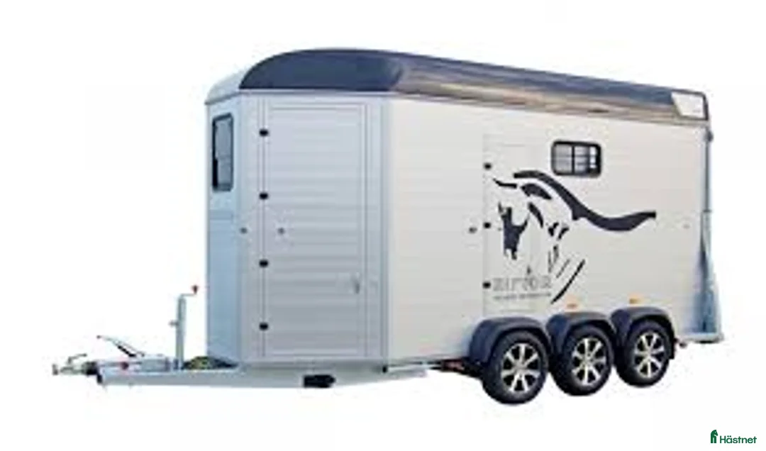 Hästtransporter  fordon & transport till salu: Sirius S90 KÖPES i Skärplinge - Annons 1