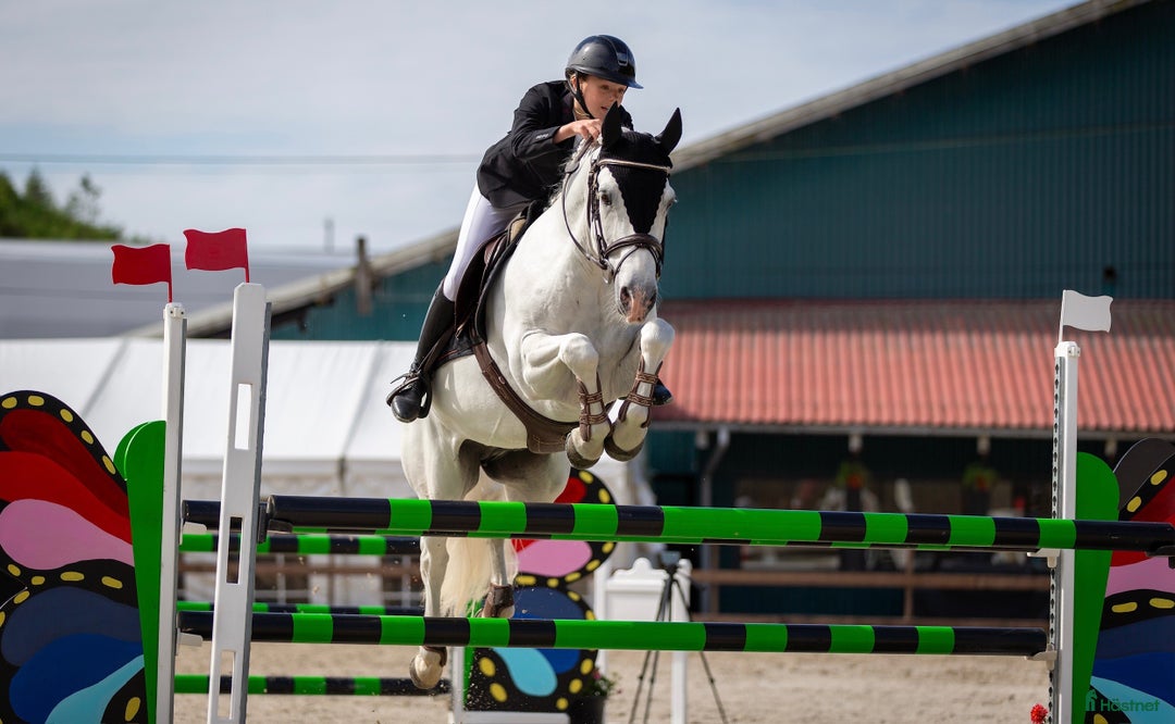 Hoppning hästar till salu: Topp kat.1 ponni til salgs i Bryne - Annons 17
