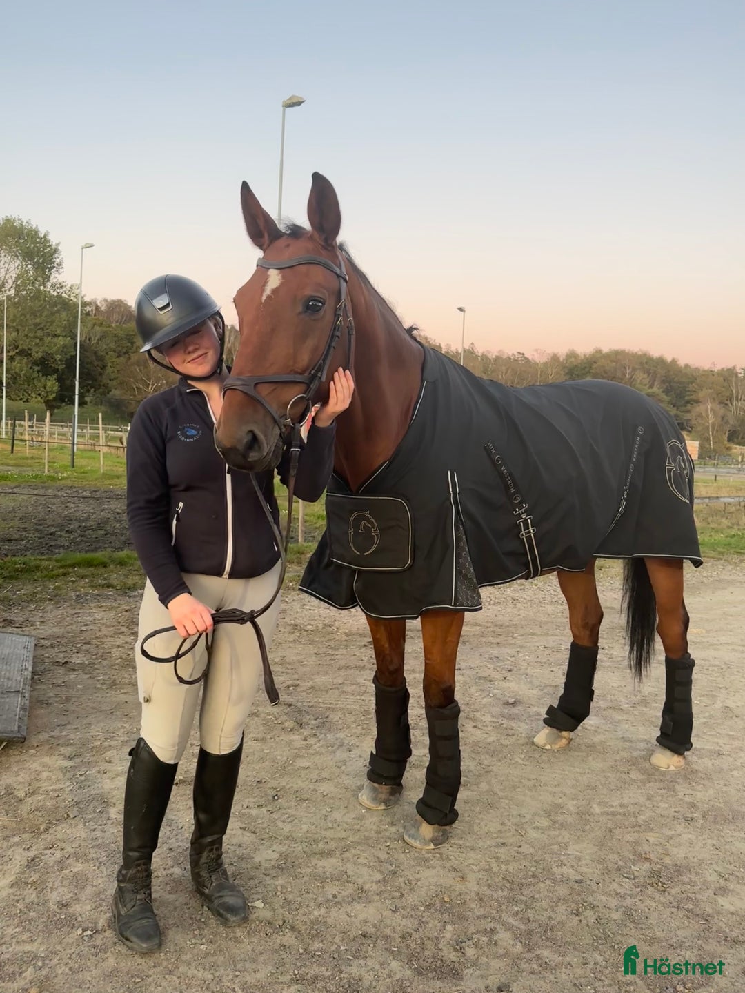  stallplats finnes: Söker stallplats över sommaren i Mölndal - Annons 2